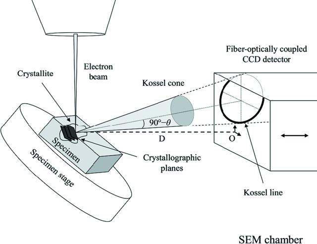 [Figure 1]