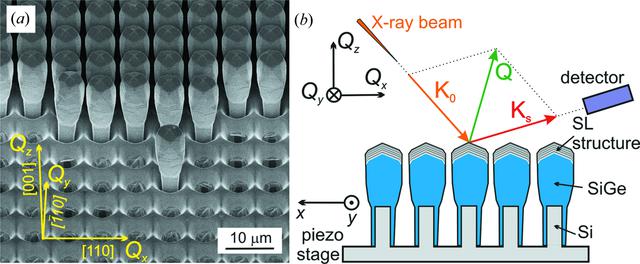 [Figure 1]