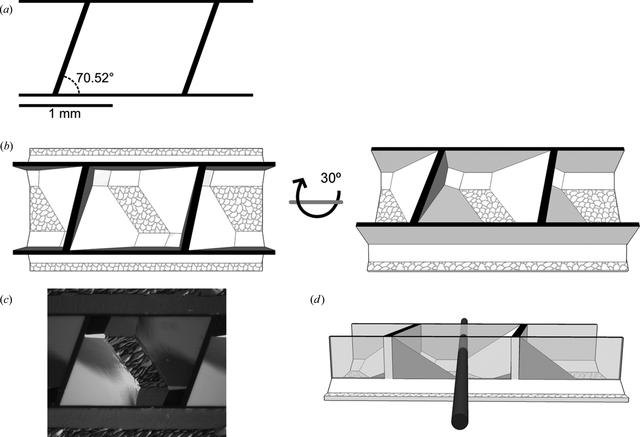 [Figure 1]