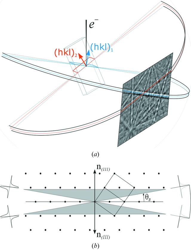 [Figure 4]