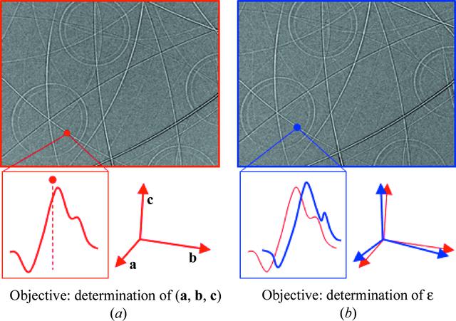 [Figure 5]