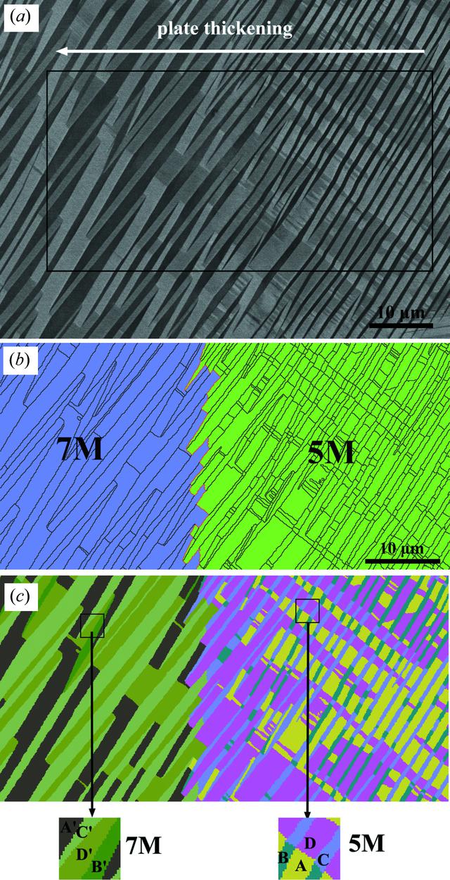 [Figure 3]