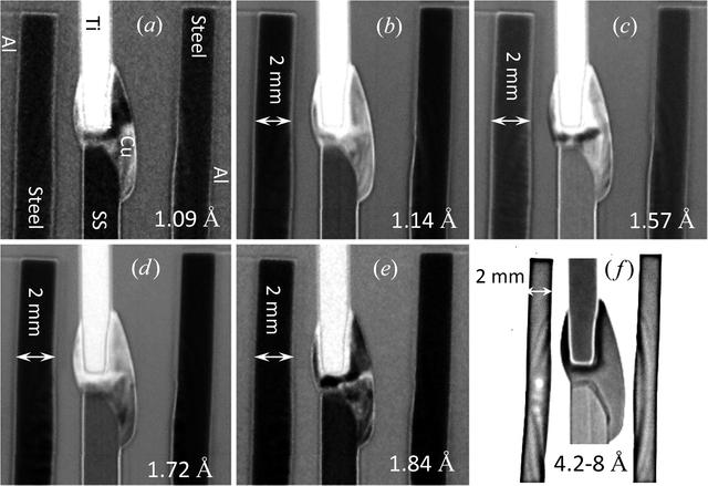 [Figure 5]