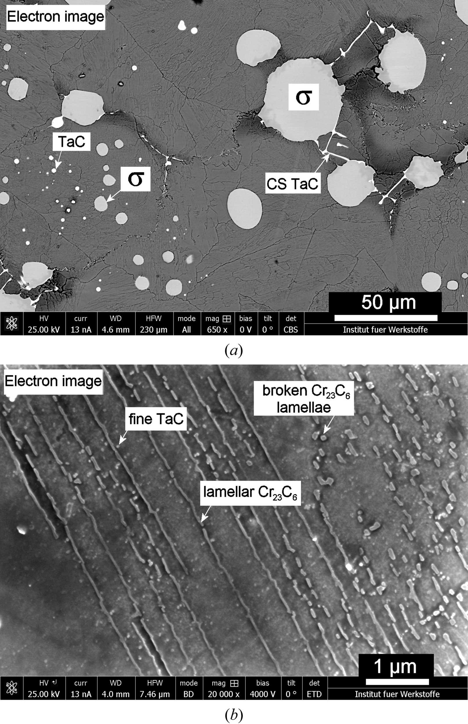 Core Stabilization Tac (IUCr) Stability of TaC precipitates in a Co–Re-based alloy being ...
