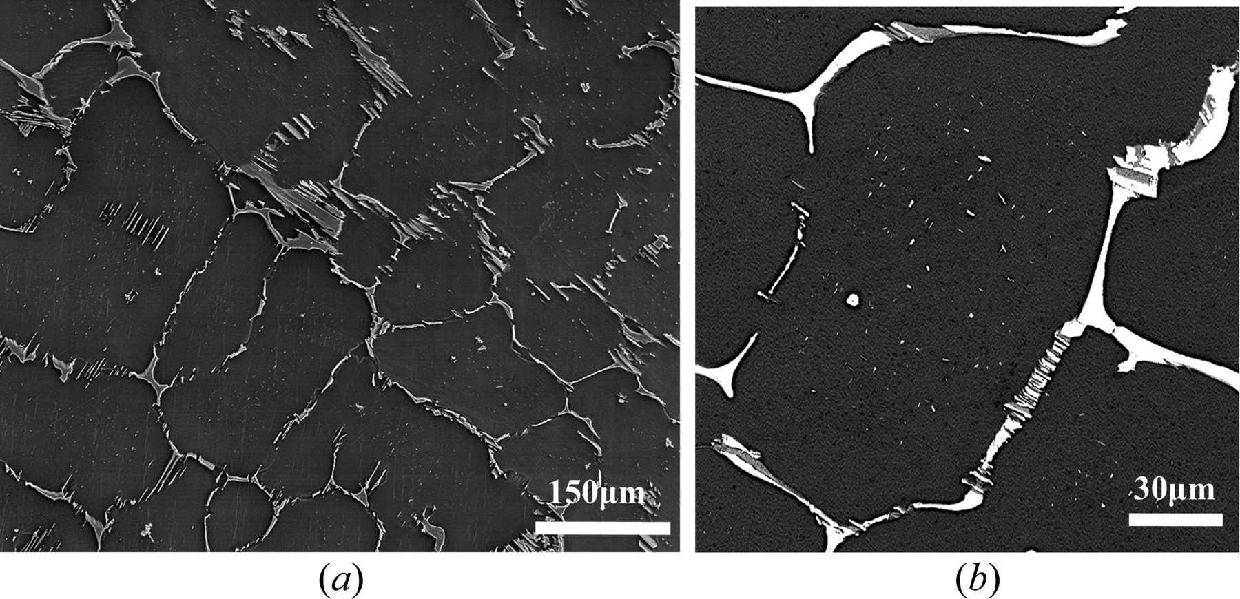 (IUCr) Crystallography of the Mg 2 Y precipitates in a damping Mg–Cu–Mn ...