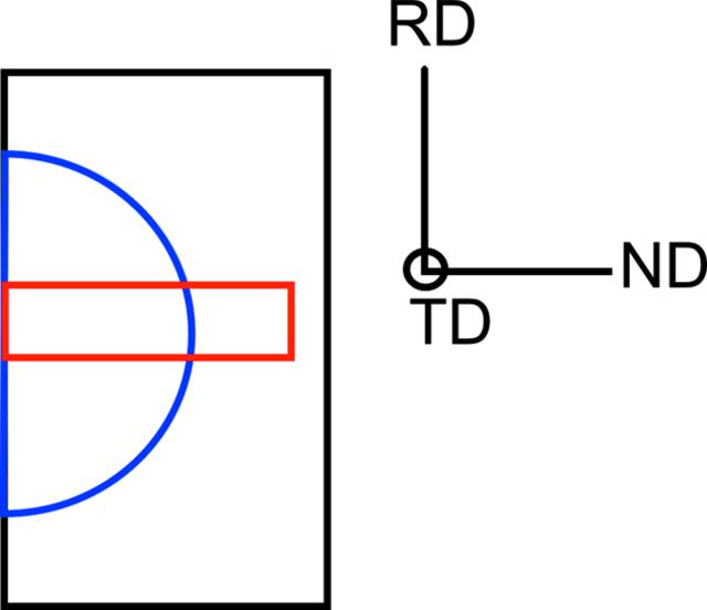 [Figure 1]