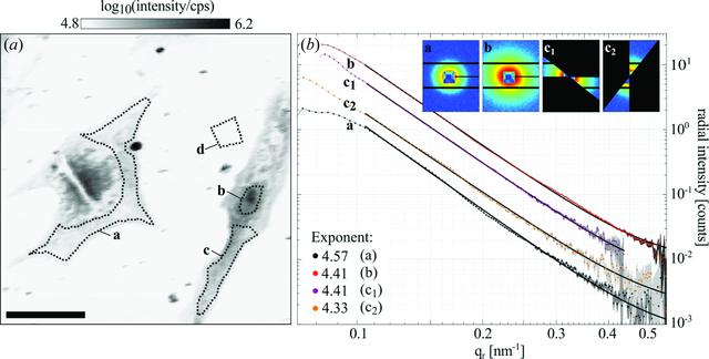 (IUCr) Combined scanning X-ray diffraction and holographic imaging of ...