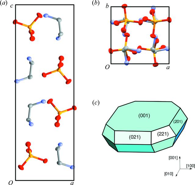 [Figure 1]