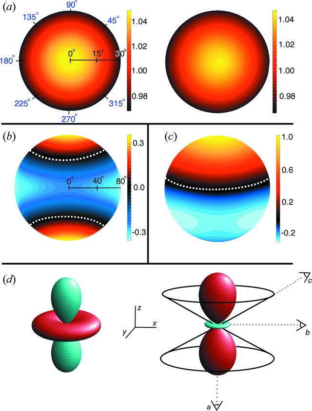 [Figure 5]