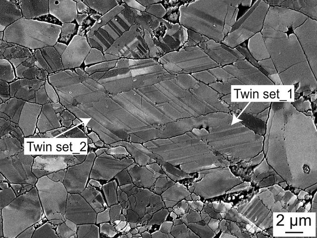 [Figure 6]