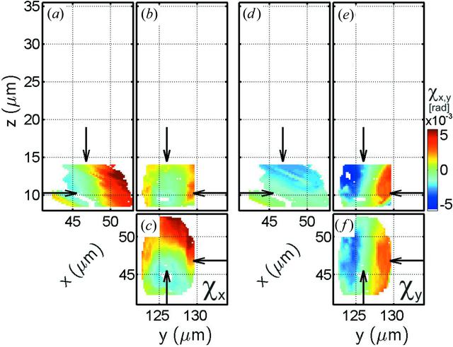 [Figure 15]