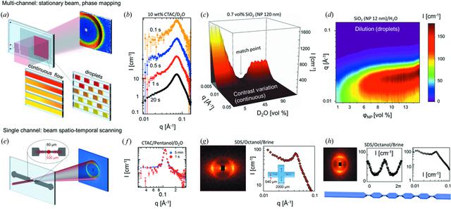 [Figure 1]