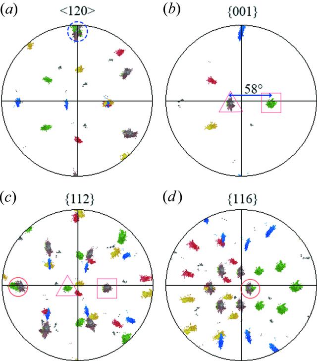 [Figure 4]