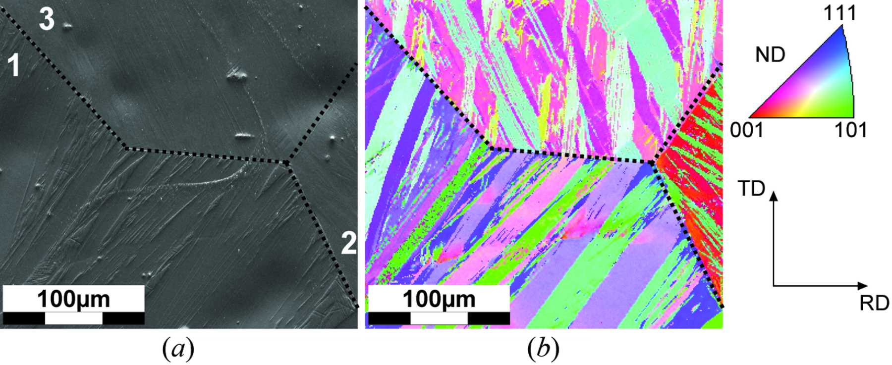(IUCr) Crystallographic orientation relationships in the α → γ ...