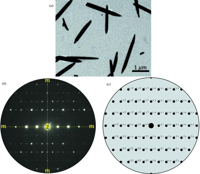 [Figure 4]