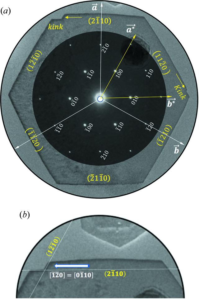 [Figure 7]