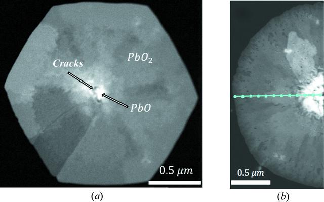 [Figure 9]