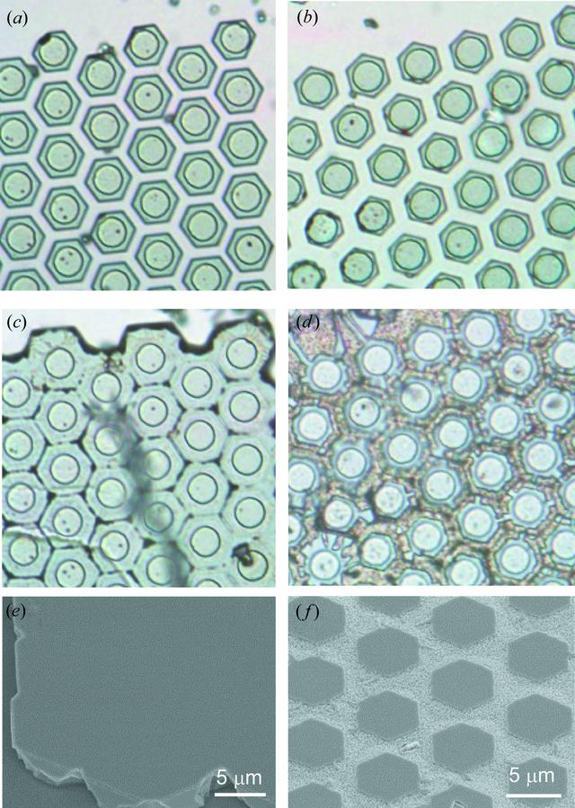 (IUCr) Non-edge-triggered inversion from Ga polarity to N polarity of c ...