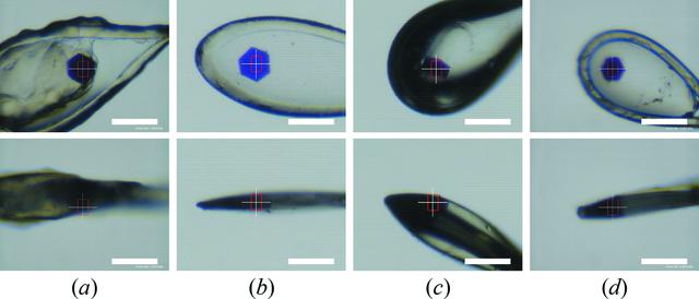 [Figure 2]