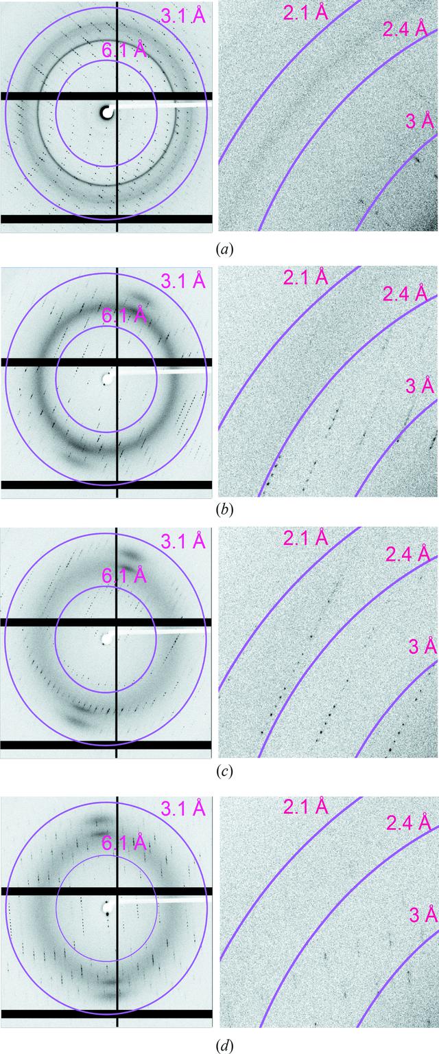 [Figure 3]