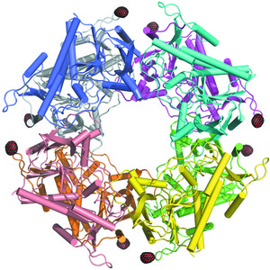 Iucr Protein Crystal Structure Determination With The Crystallophore A Nucleating And Phasing Agent