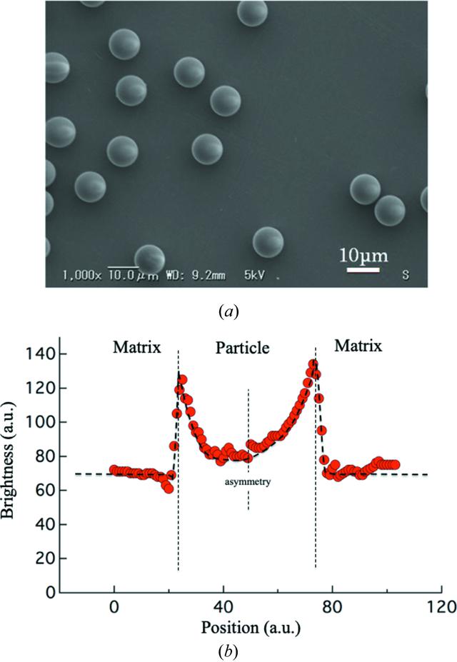 [Figure 3]