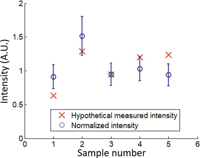 [Figure 7]