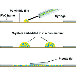 (IUCr) Viscous-medium-based Crystal Support In A Sample Holder For ...