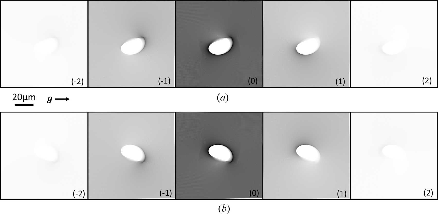 (IUCr) Dislocation contrast on X-ray topographs under weak diffraction ...