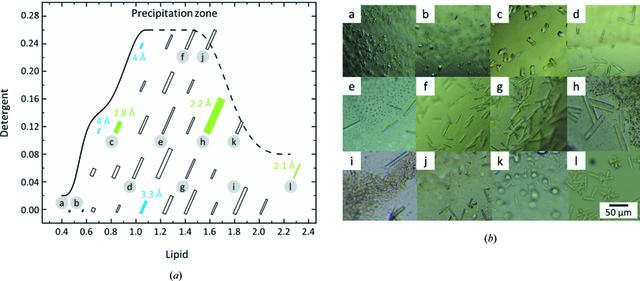 [Figure 1]