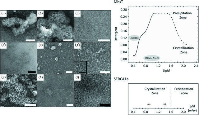 [Figure 3]