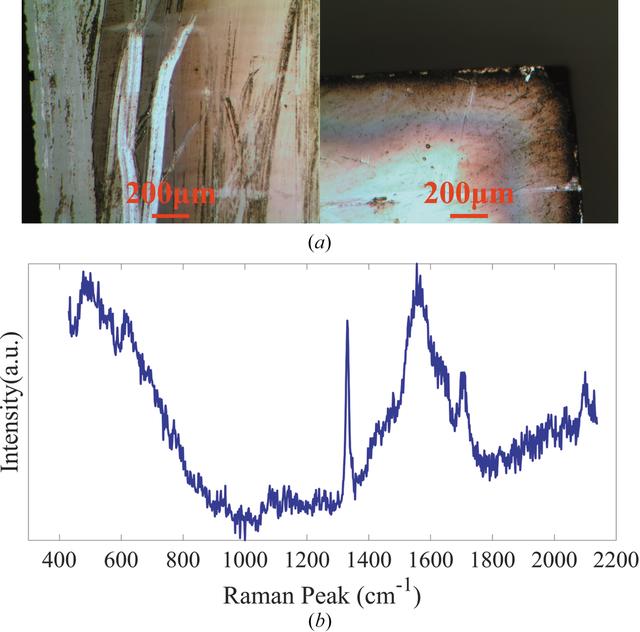 [Figure 3]