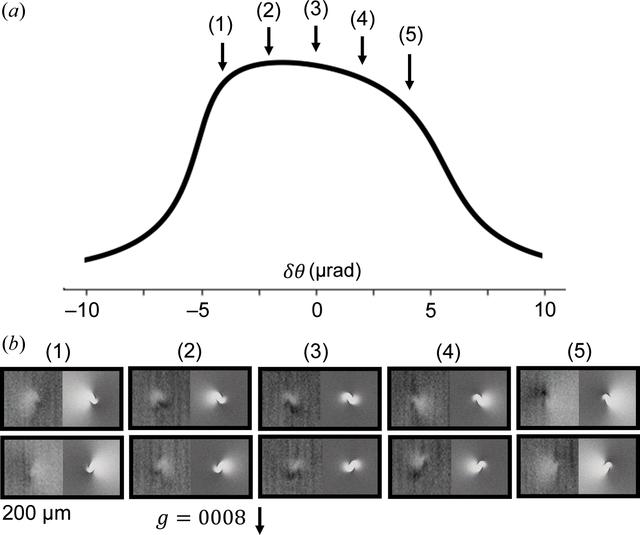 [Figure 5]