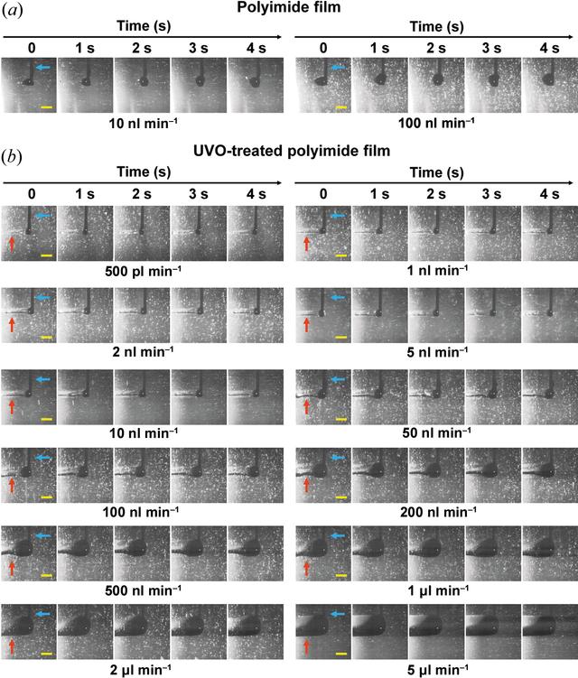 (IUCr) Combination Of An Inject-and-transfer System For Serial ...