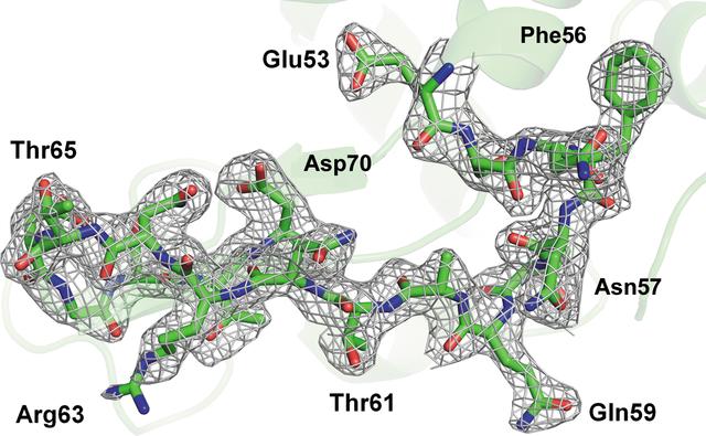 [Figure 4]