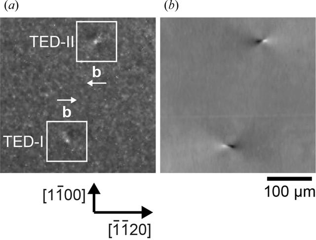 [Figure 3]