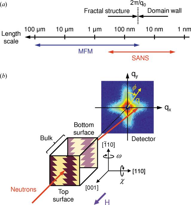 [Figure 1]