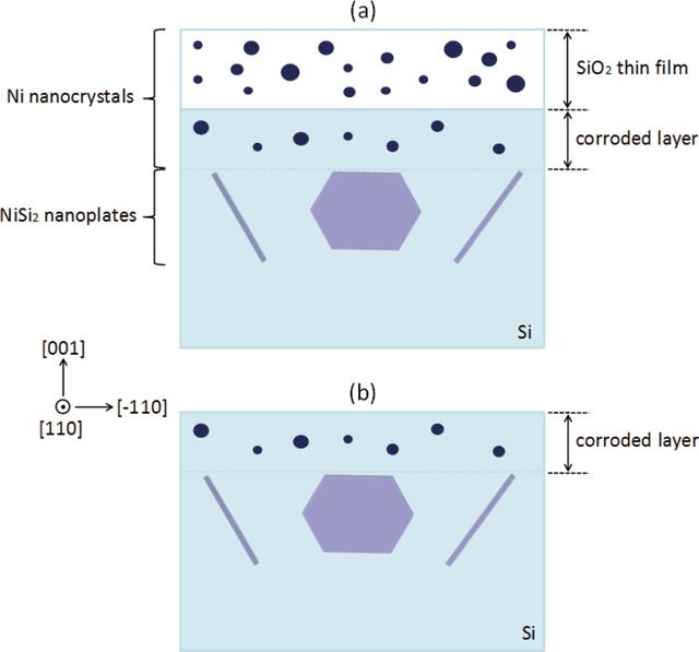 [Figure 2]