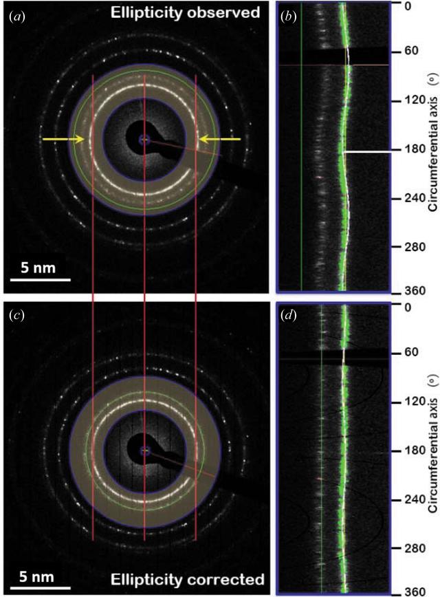 [Figure 12]