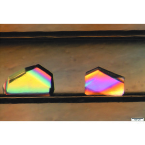 (IUCr) Equilibration of precipitants in a counter-diffusion apparatus ...