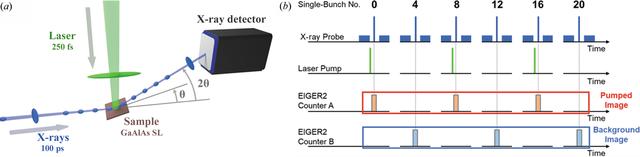 [Figure 1]