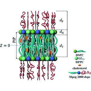 (IUCr) Revealing Cholesterol Effects On PEGylated HSPC Liposomes Using ...