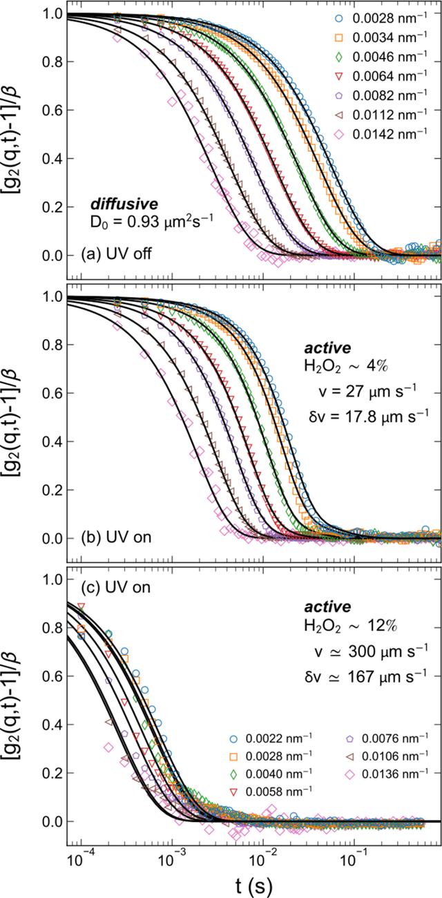 [Figure 4]