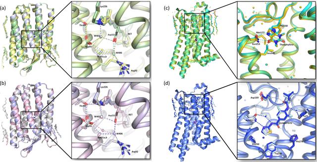 [Figure 3]