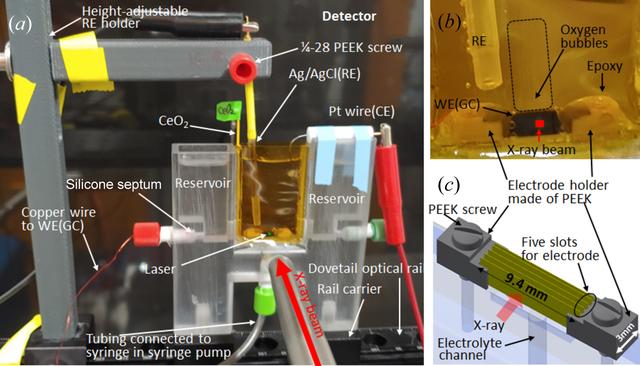 [Figure 3]