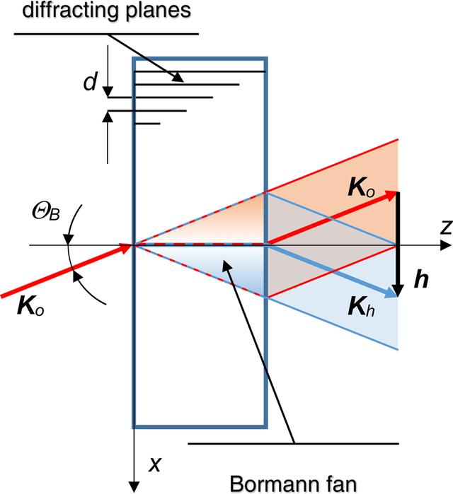 [Figure 1]