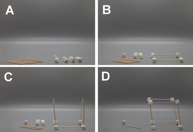 [Figure 1 - Four images labelled A to D depict the construction of a cube with marshmallows and cocktail sticks. Image A shows 13 cocktail sticks and 9 mini-marshmallow sweets (1 pink and 8 white) laid out. Image B shows the base of the cube constructed with 4 white marshmallows and 4 cocktail sticks. Image C is similar to D, with 4 added cocktail sticks standing vertically on top of the marshmallows. Image D is the final constructed cube, with the pink marshmallow and one cocktail stick lying beside the cube in preparation for this to be added.]