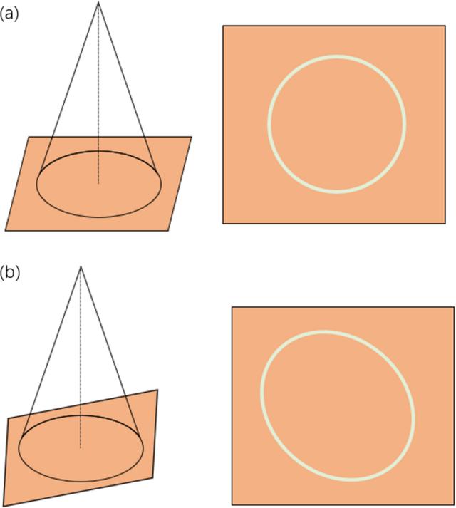 [Figure 2]