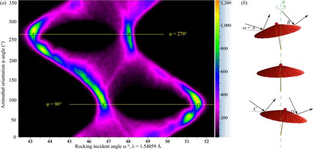 [Figure 5]