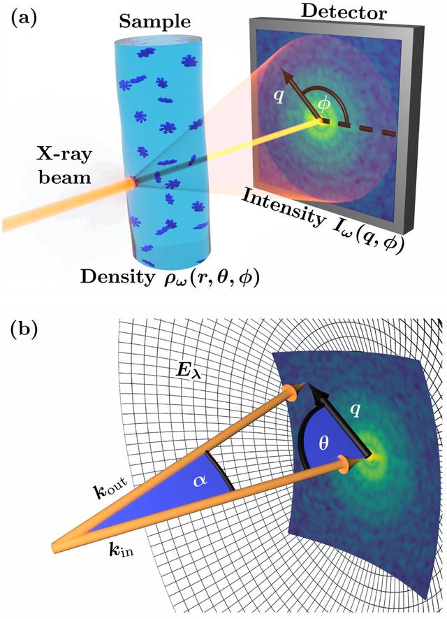 [Figure 1]